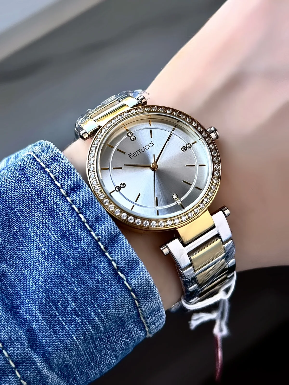 Ferrucci FBG17002B Gümüş Kadranlı Çelik Kordonlu Kadın Kol Saati
