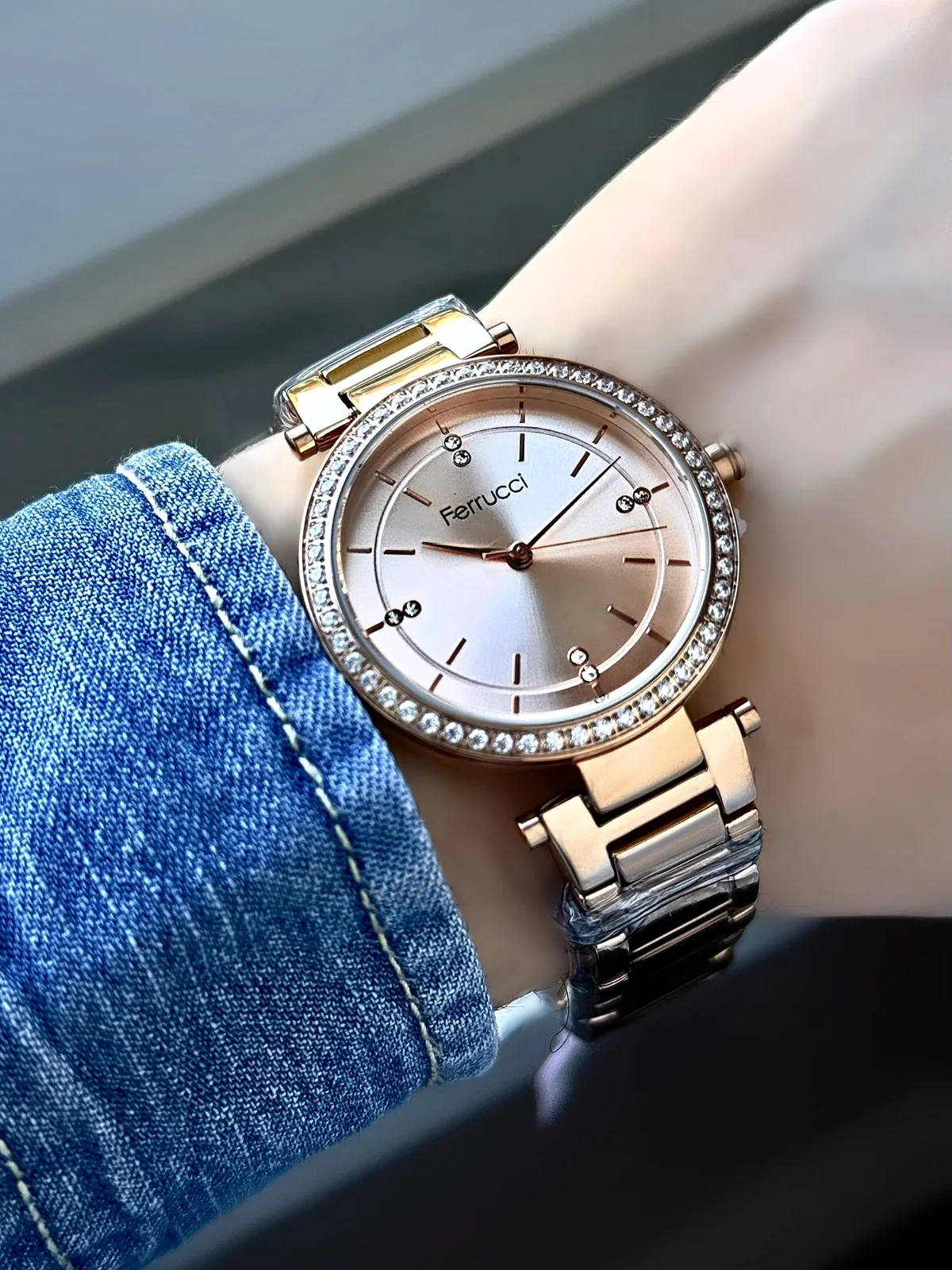 Ferrucci FBG17002C Gümüş Kadranlı Çelik Kordonlu Kadın Kol Saati